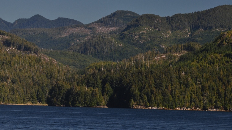 inlet scenery